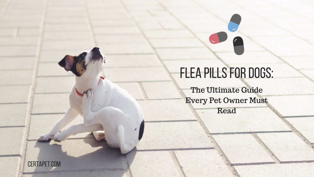 flea pills for dogs online
