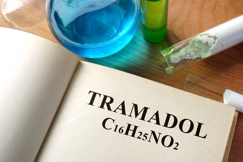 Tramadol For Dogs The A Z Guide Certapet