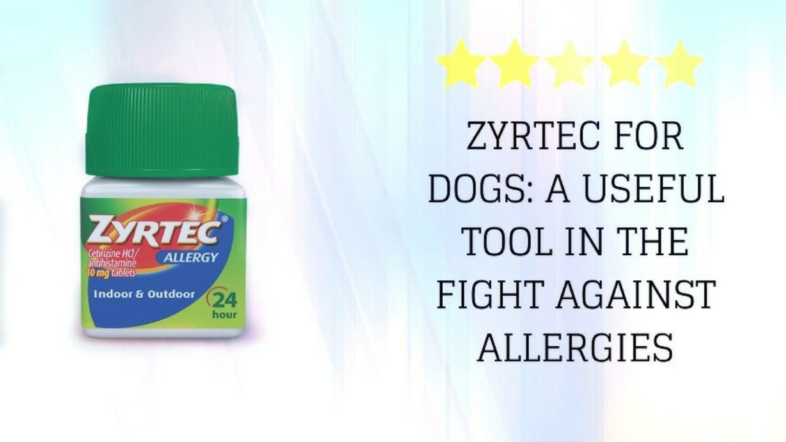 Zyrtec for Dogs A Useful Tool in the Fight Against Allergies CertaPet