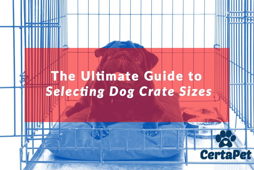 plastic dog kennel sizes