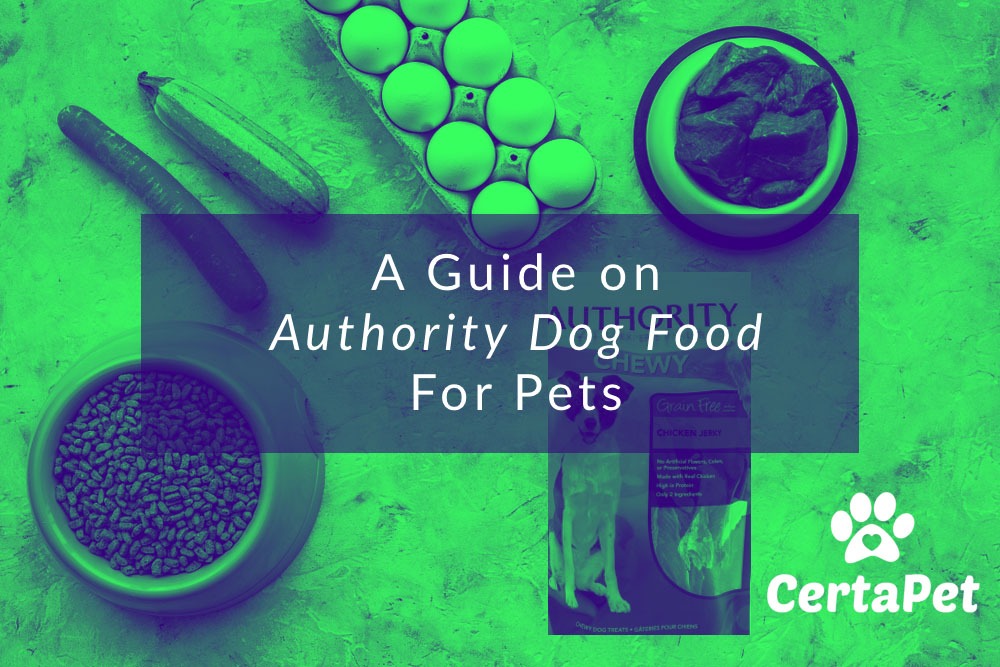 Authority Dog Food Reviews, Coupons, and More CertaPet