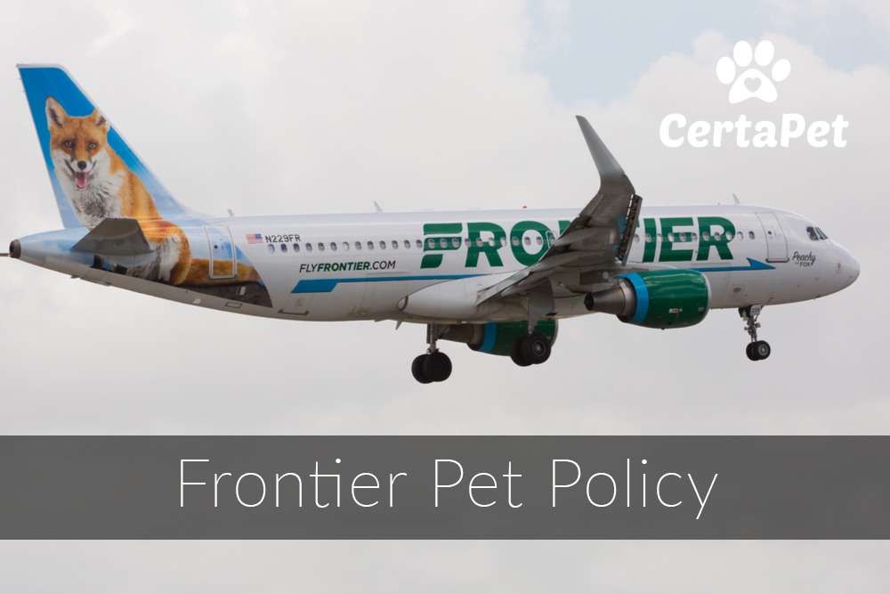 flying with a dog frontier