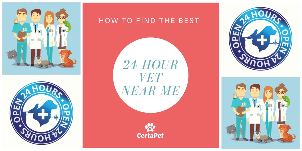 24 hour vet near me