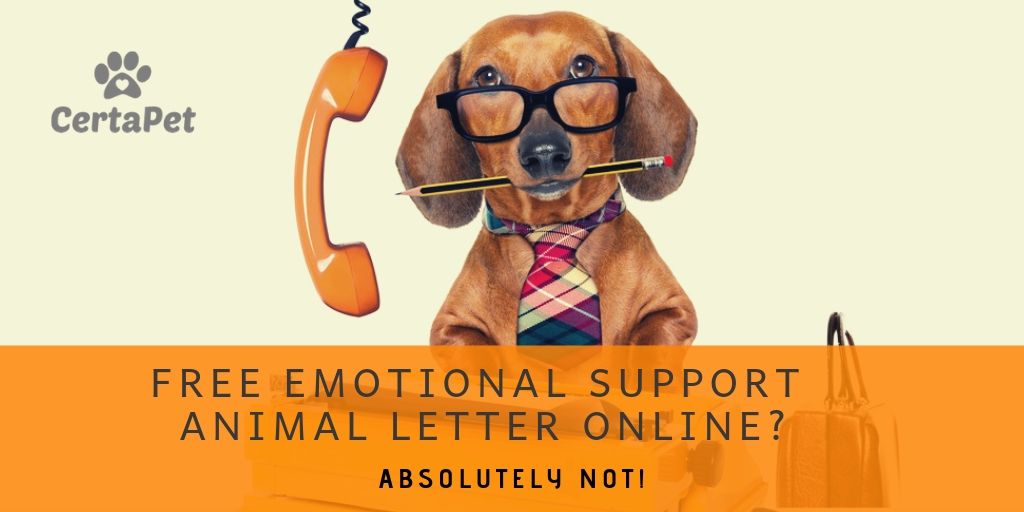 is a free emotional support animal letter online real certapet
