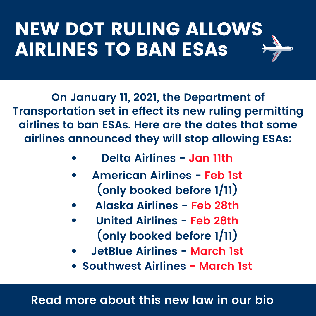 How the New DOT Regulations Will Impact ESAs in 2024 Your Top 9