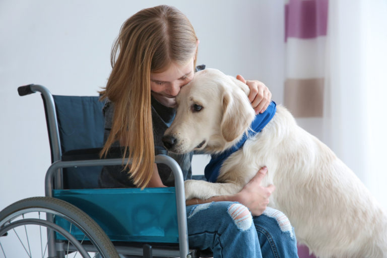 service-dog-for-anxiety-certapet