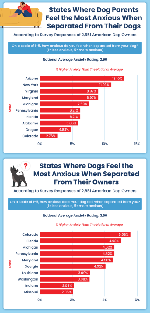 Separation Anxiety in Dogs & Dog Owners in 2021 | CertaPet®