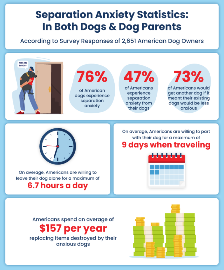 separation-anxiety-in-dogs-dog-owners-in-2021-certapet