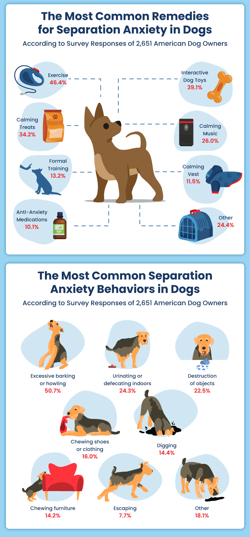 Easing Separation Anxiety In Dogs (Triggers + Quick Cures)